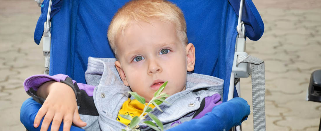 Проект Адресная помощь