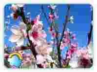 Поздравляем рожденных в апреле!