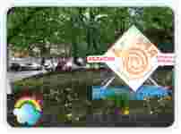 Раз цветочек, два цветочек. Клумбочка!