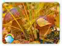 Поздравляем!