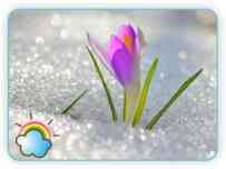 Поздравляем рожденных в феврале!