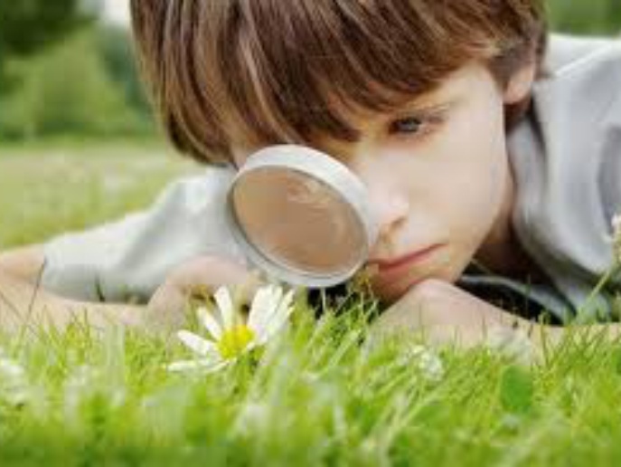 Летний курс социальной адаптации для подростков «Учимся жить»