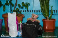 Центр для переселенцев. 15-й день