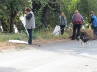 Чистое Волосское