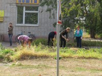 Чистое Волосское