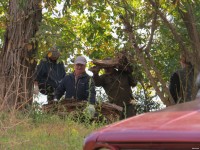 Чистое Волосское