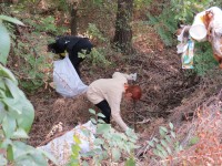 Чистое Волосское