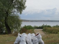 Чистое Волосское