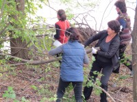 Чистое Волосское