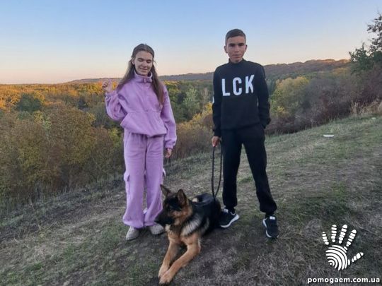 Помочь Крилови Давид і Віолетта. Етап 2