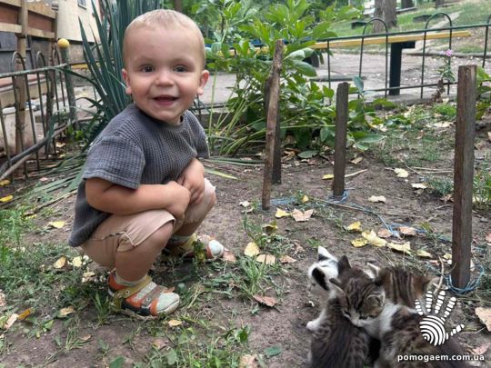 Помочь Лисенко Тимур