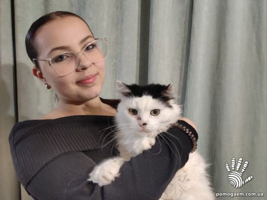 Беспалая Дарья. Этап 3